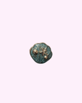 Pin’s Coquillage