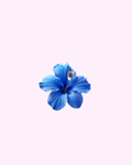 Sticker Métal Fleur Bleu