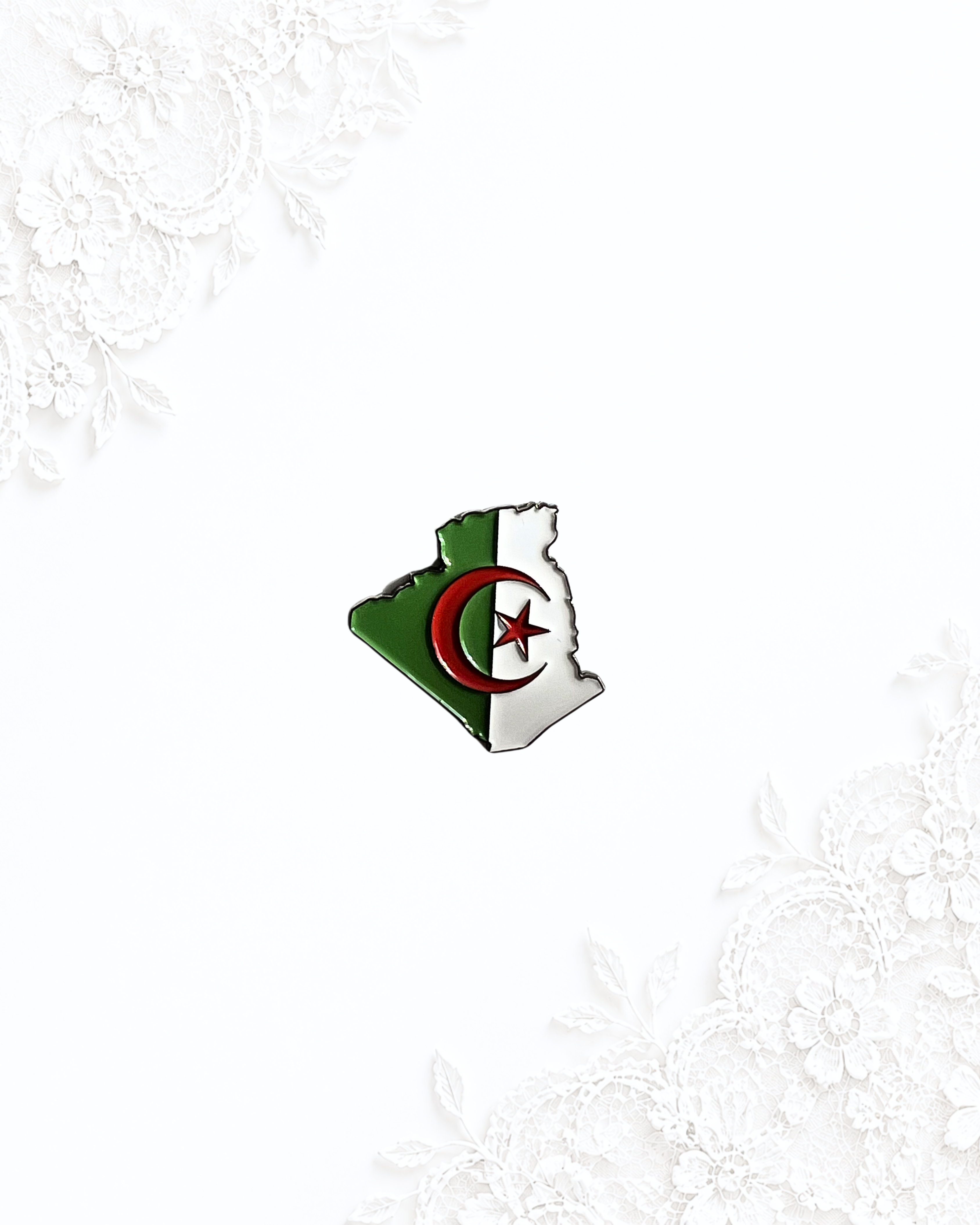 Sticker Métal Carte Algérie